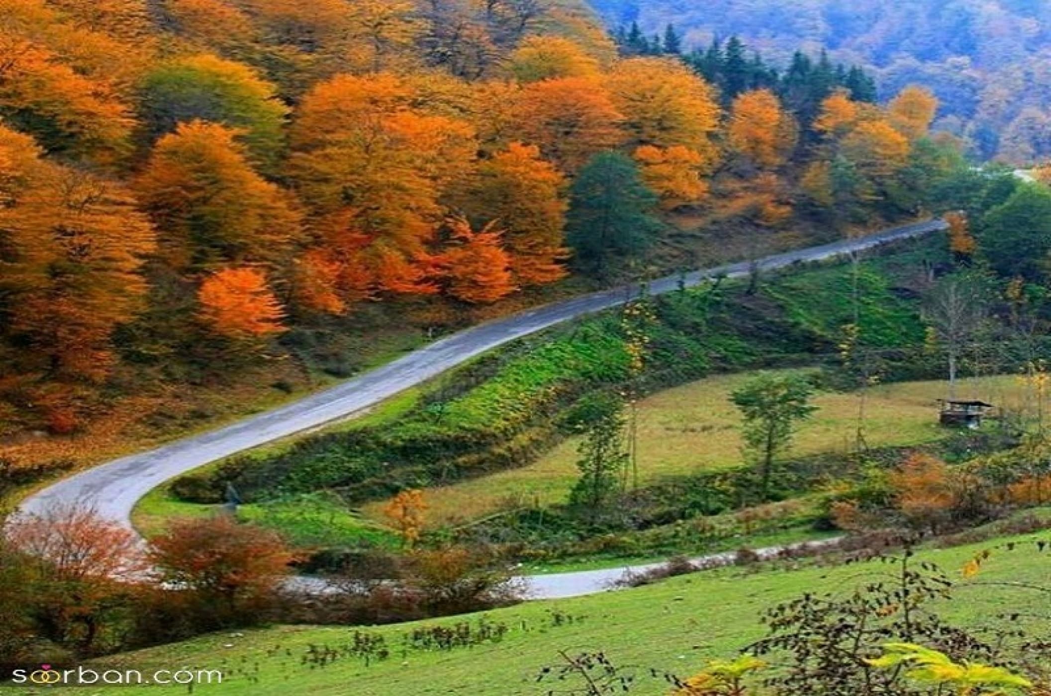 تست آموزش